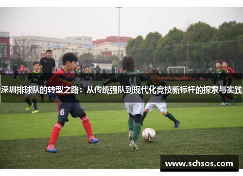 深圳排球队的转型之路：从传统强队到现代化竞技新标杆的探索与实践